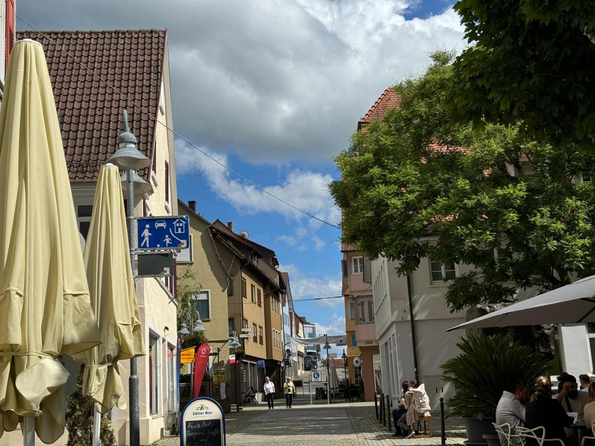 90Qm 4-Zimmer-Wohnung - Apartment Friedrichstrasse Vaihingen an der Enz Esterno foto